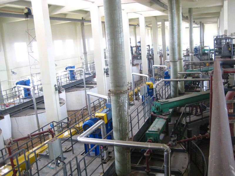 W020241121368843982998