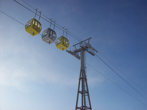 W020241121369700064239