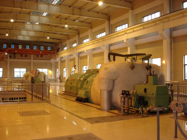 W020241121370512613625