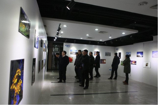 W020241121372718300252