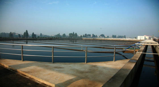 W020241119527686814807