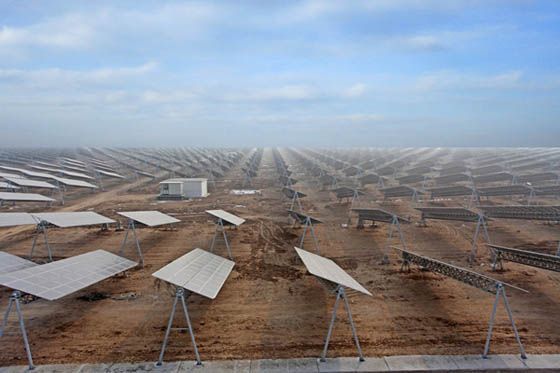 W020241119526078990207