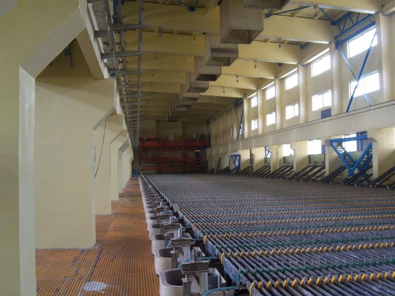 W020241119525558534541